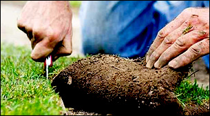 Aký trávnik vybrať na záhradu index Blog