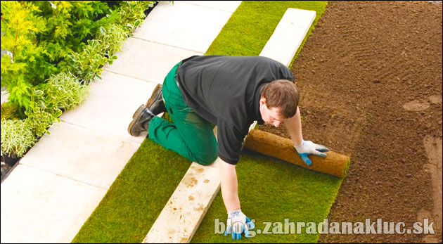 Pokládka kobercového trávnika