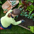 Pravidelná údržba záhrady a zelene